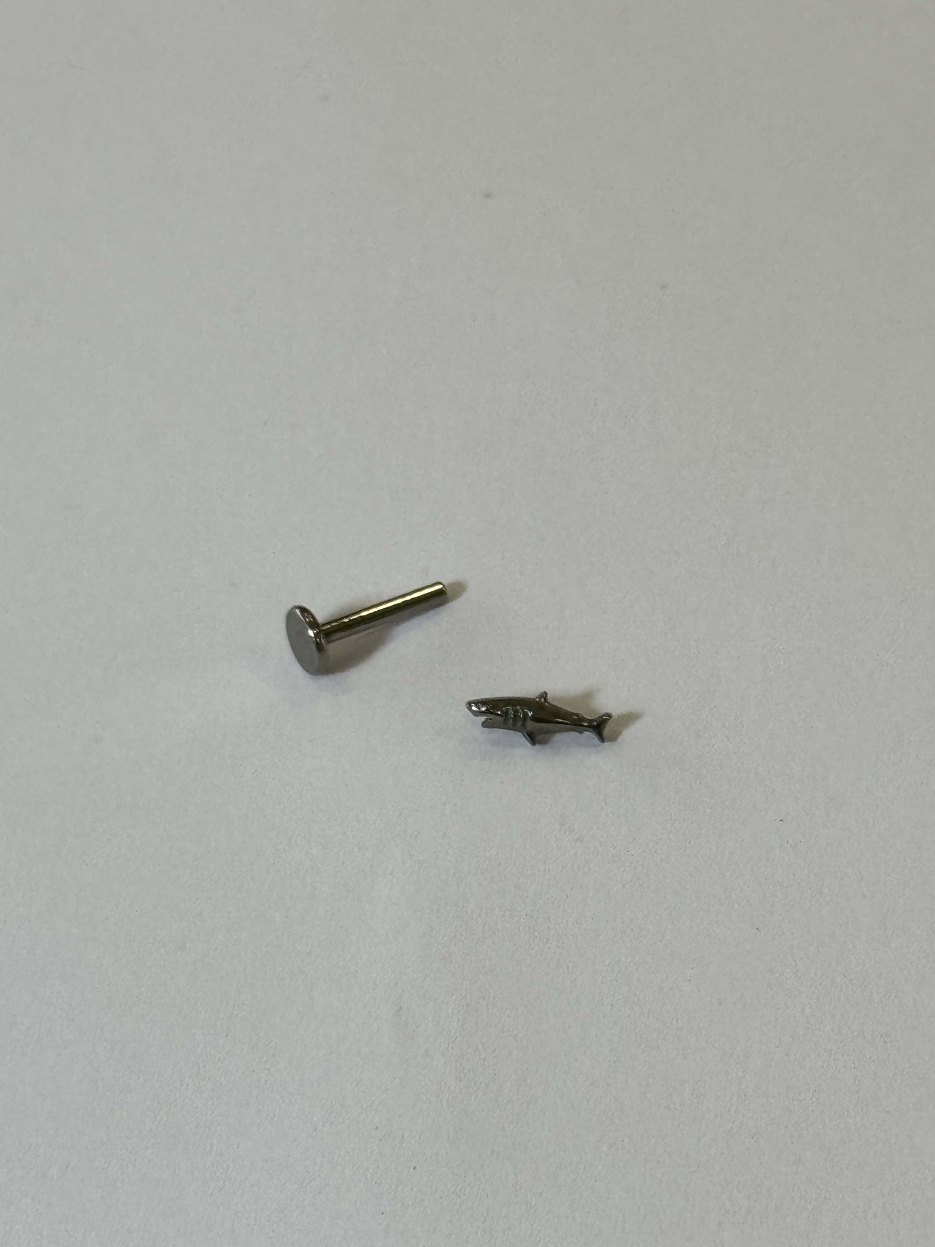 Piercing labret titanio 16G, tiburon plateado.