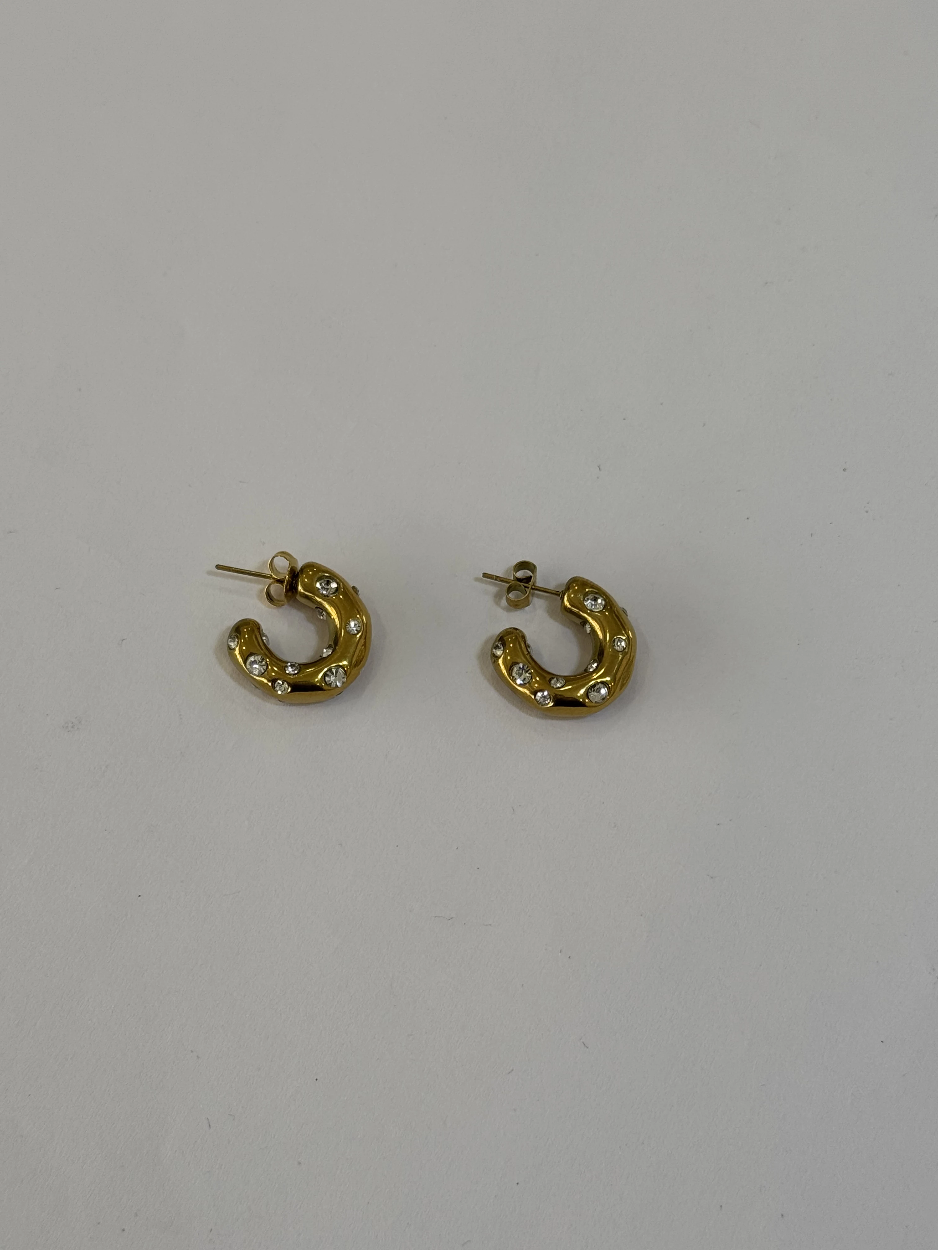 Aretes Acero Inoxidable 18k - 110