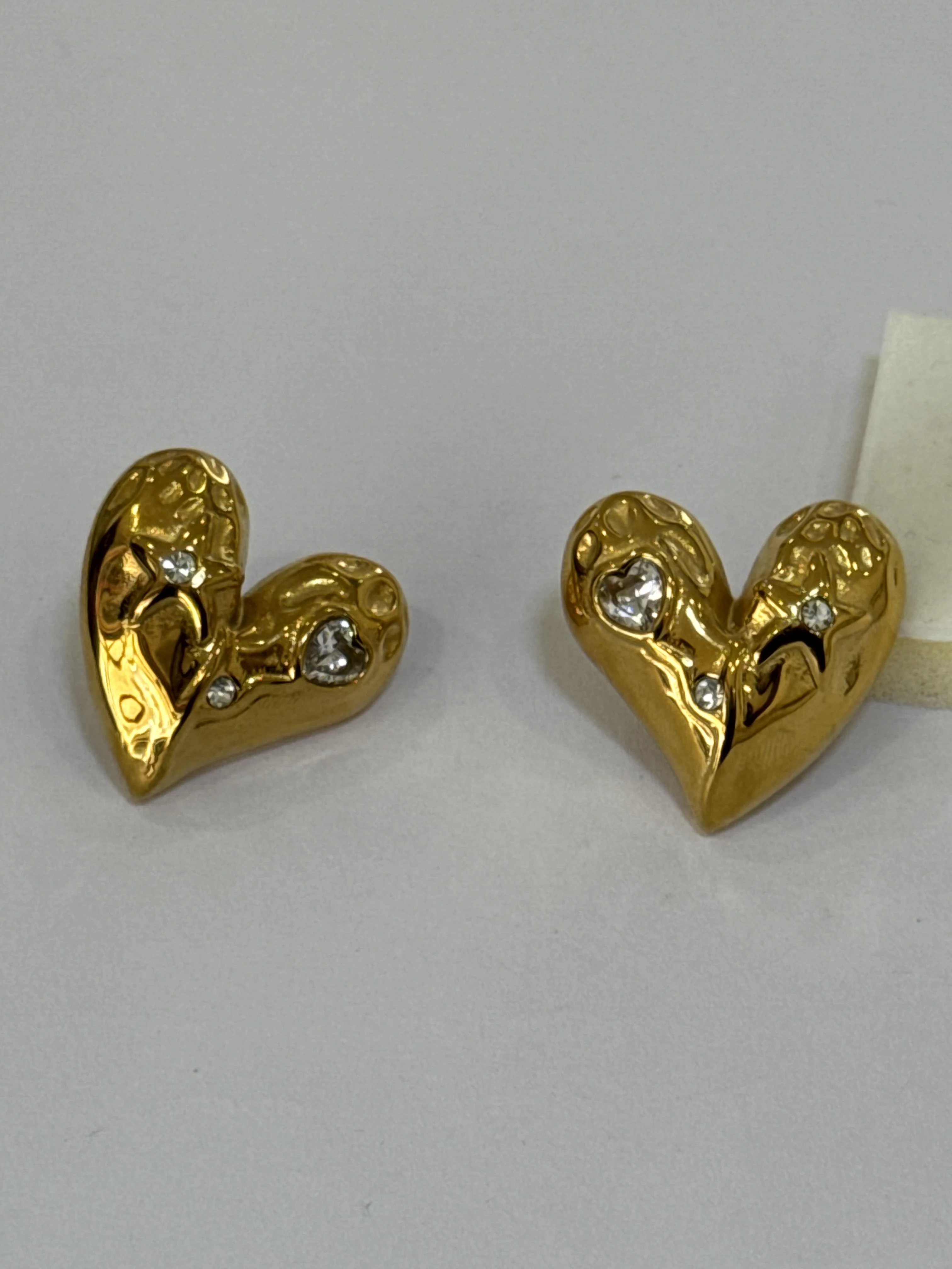 Aretes Acero Inoxidable 18k - 101