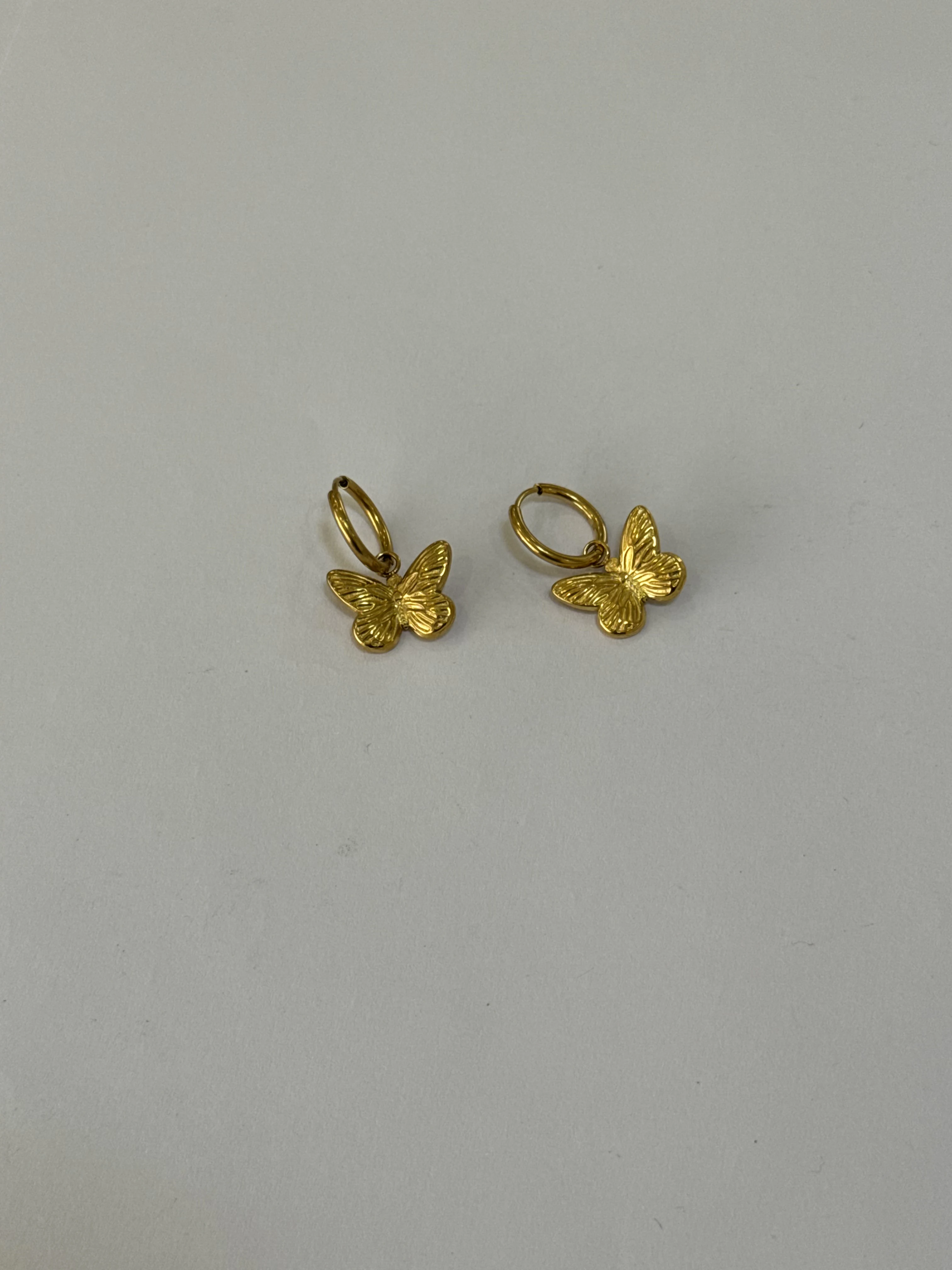 Aretes Acero Inoxidable 18k - 97