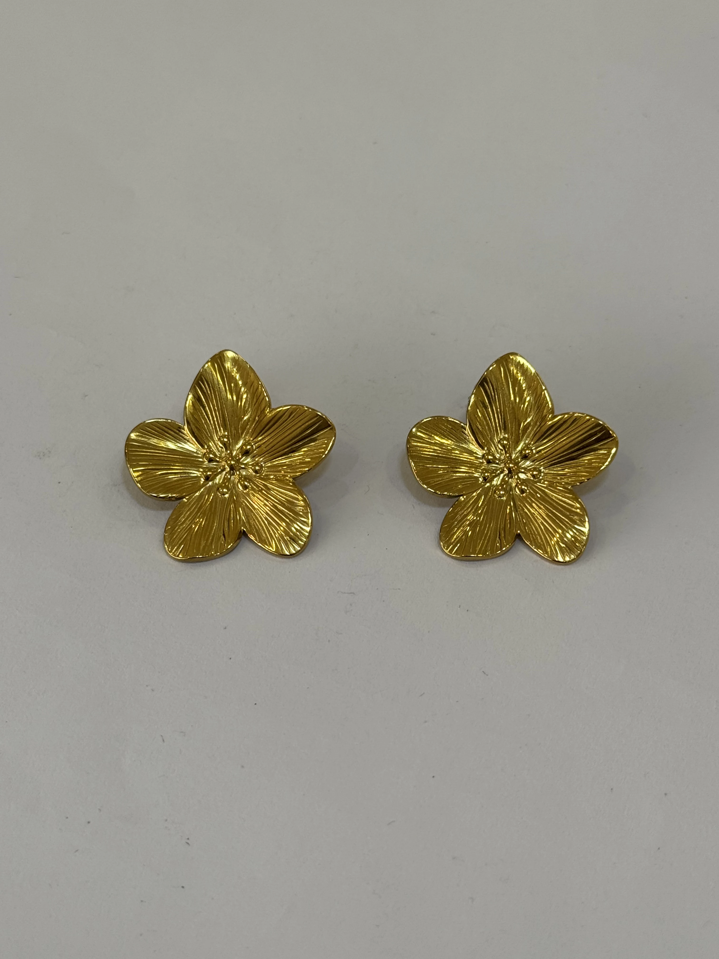 Aretes Acero Inoxidable 18k - 81