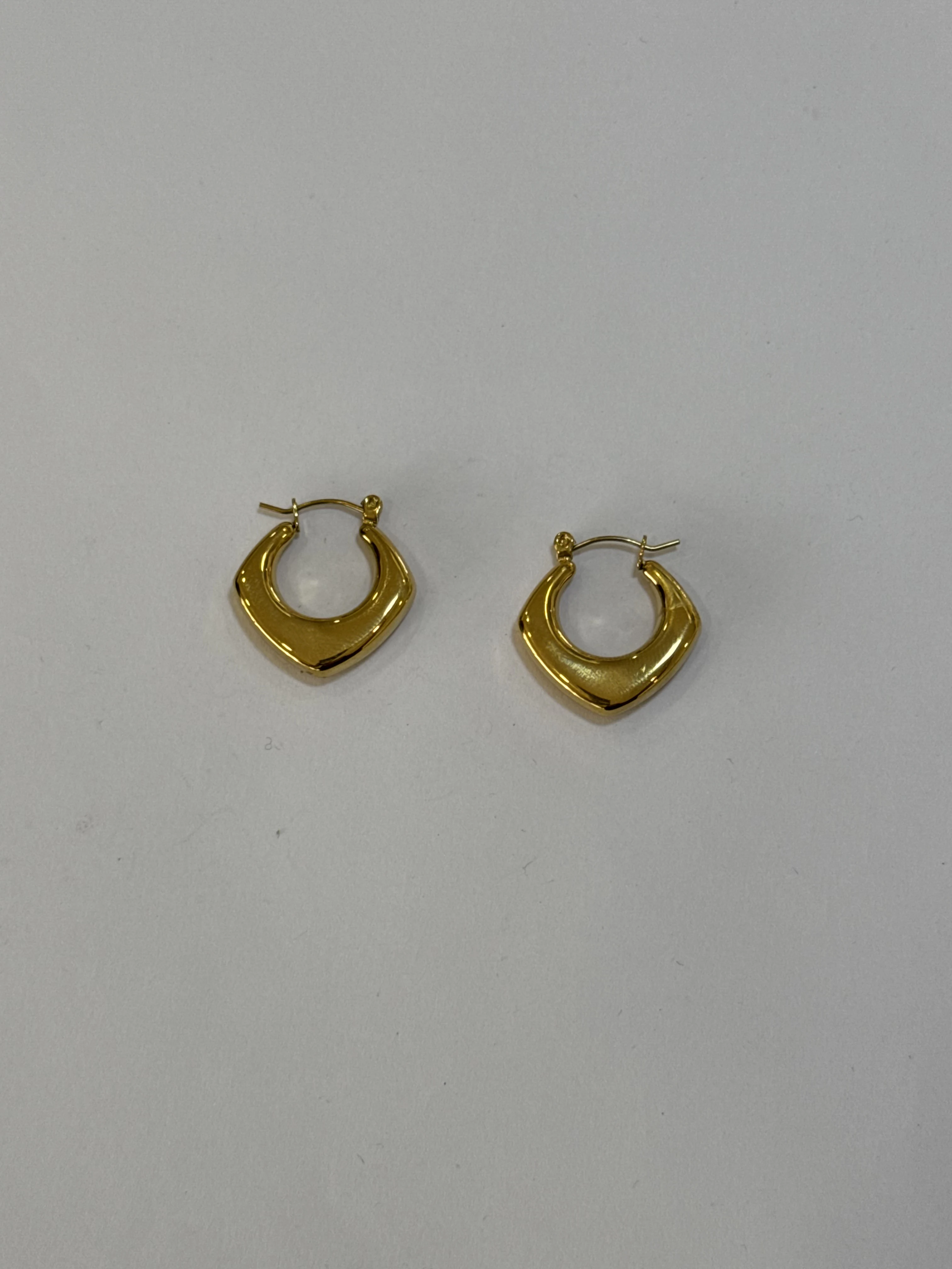 Aretes Acero Inoxidable 18k - 75