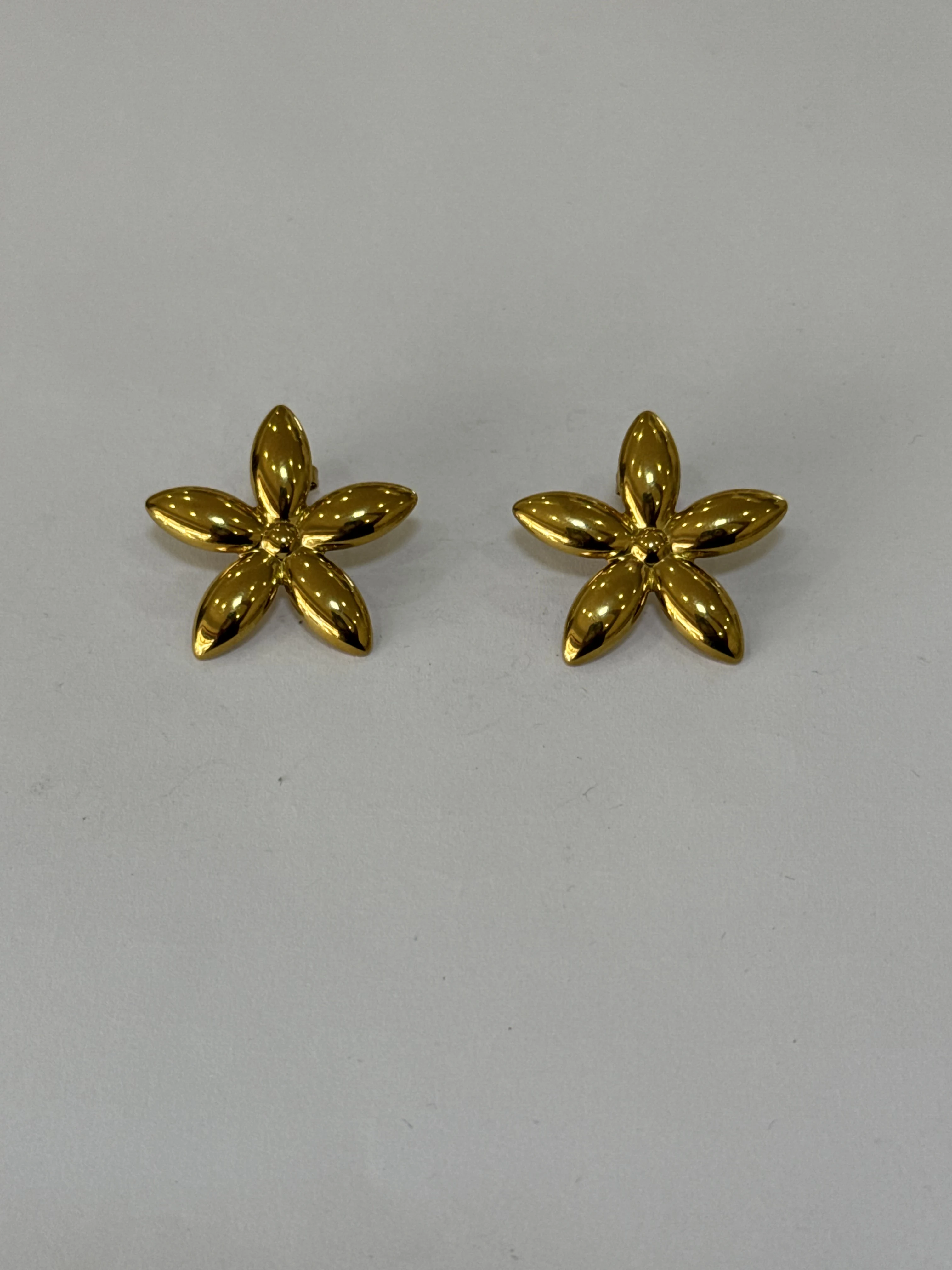Aretes Acero Inoxidable 18k - 76