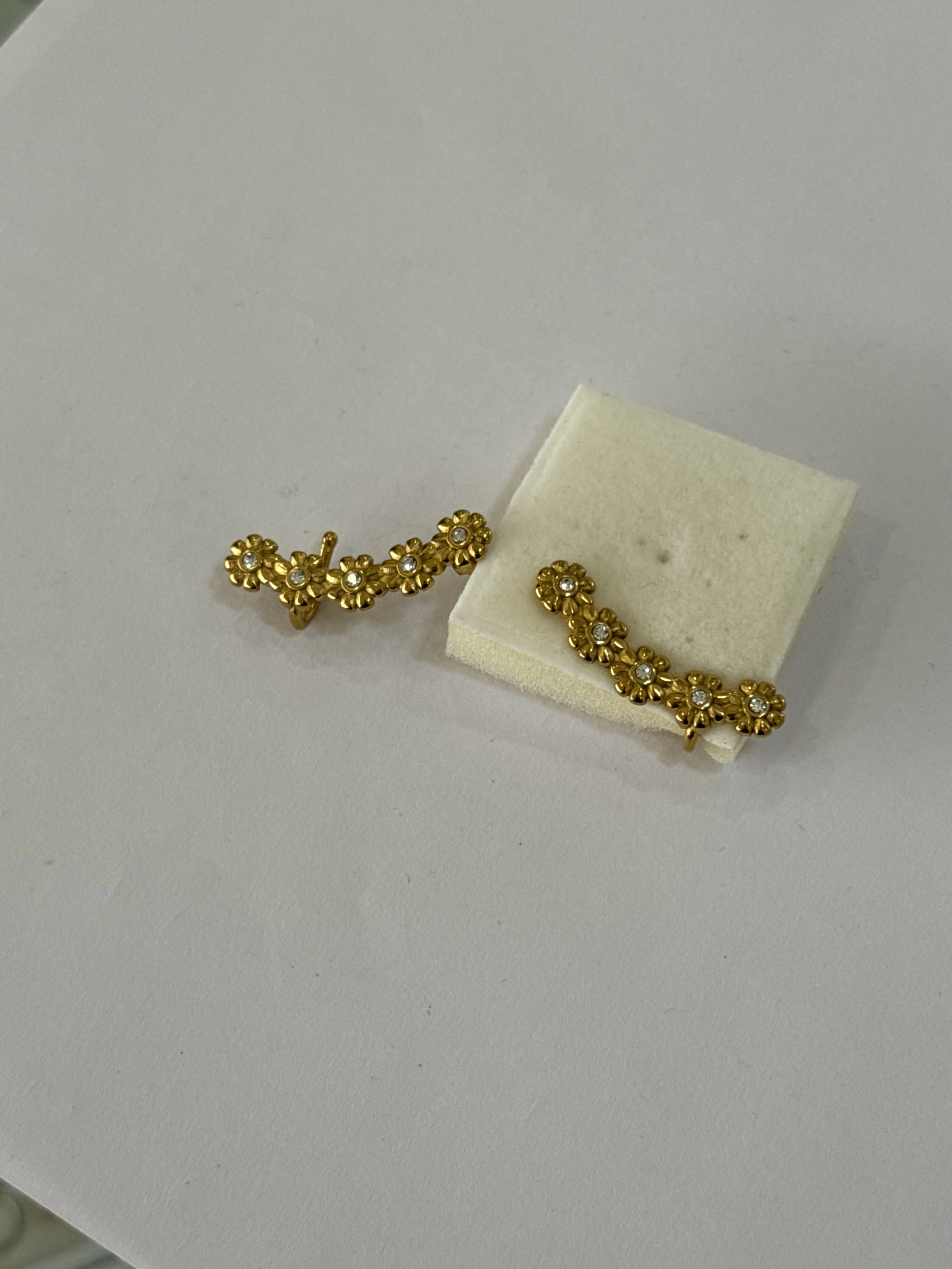 Aretes Acero Inoxidable 18k - 73