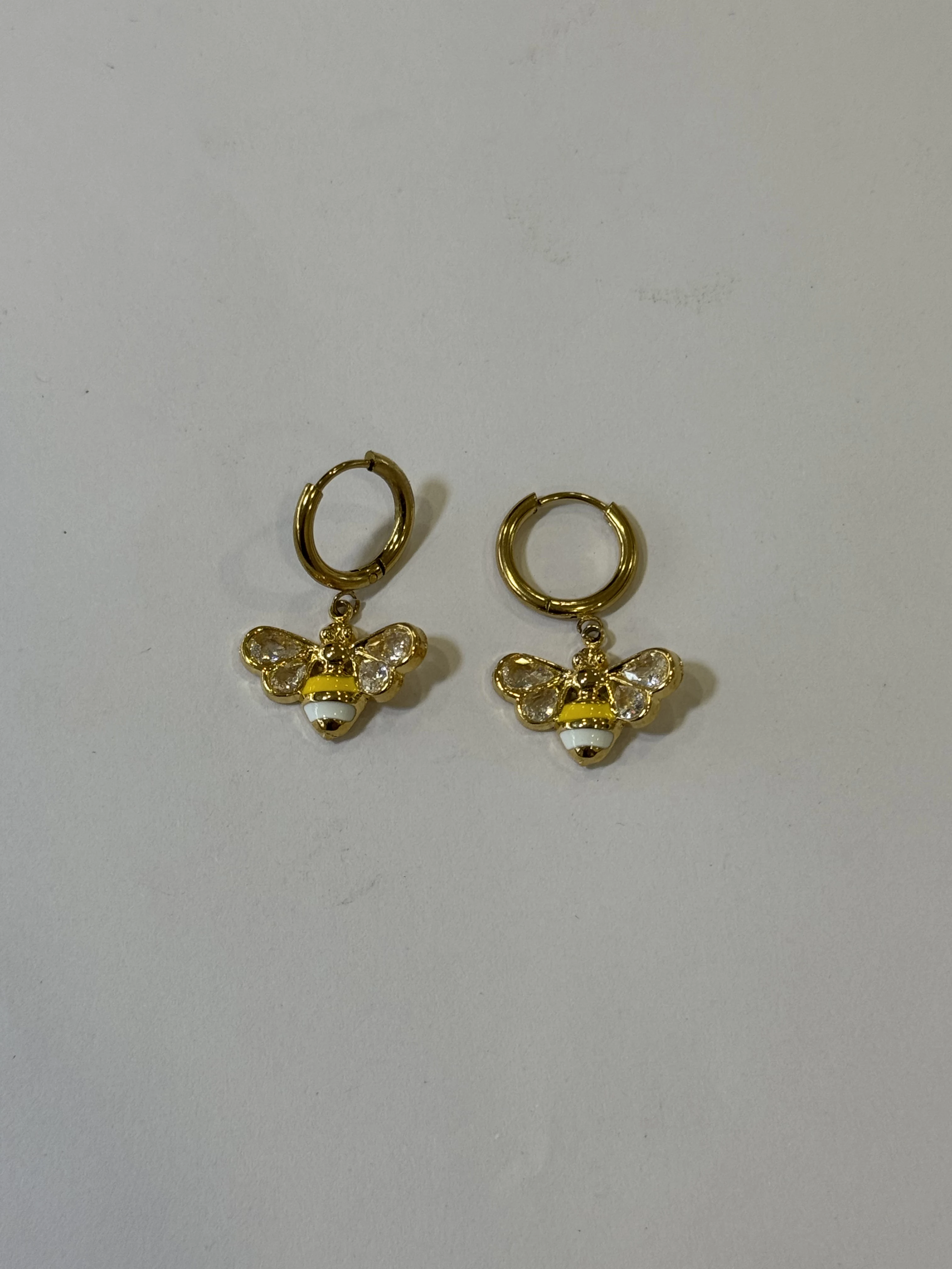 Aretes Acero Inoxidable 18k - 50