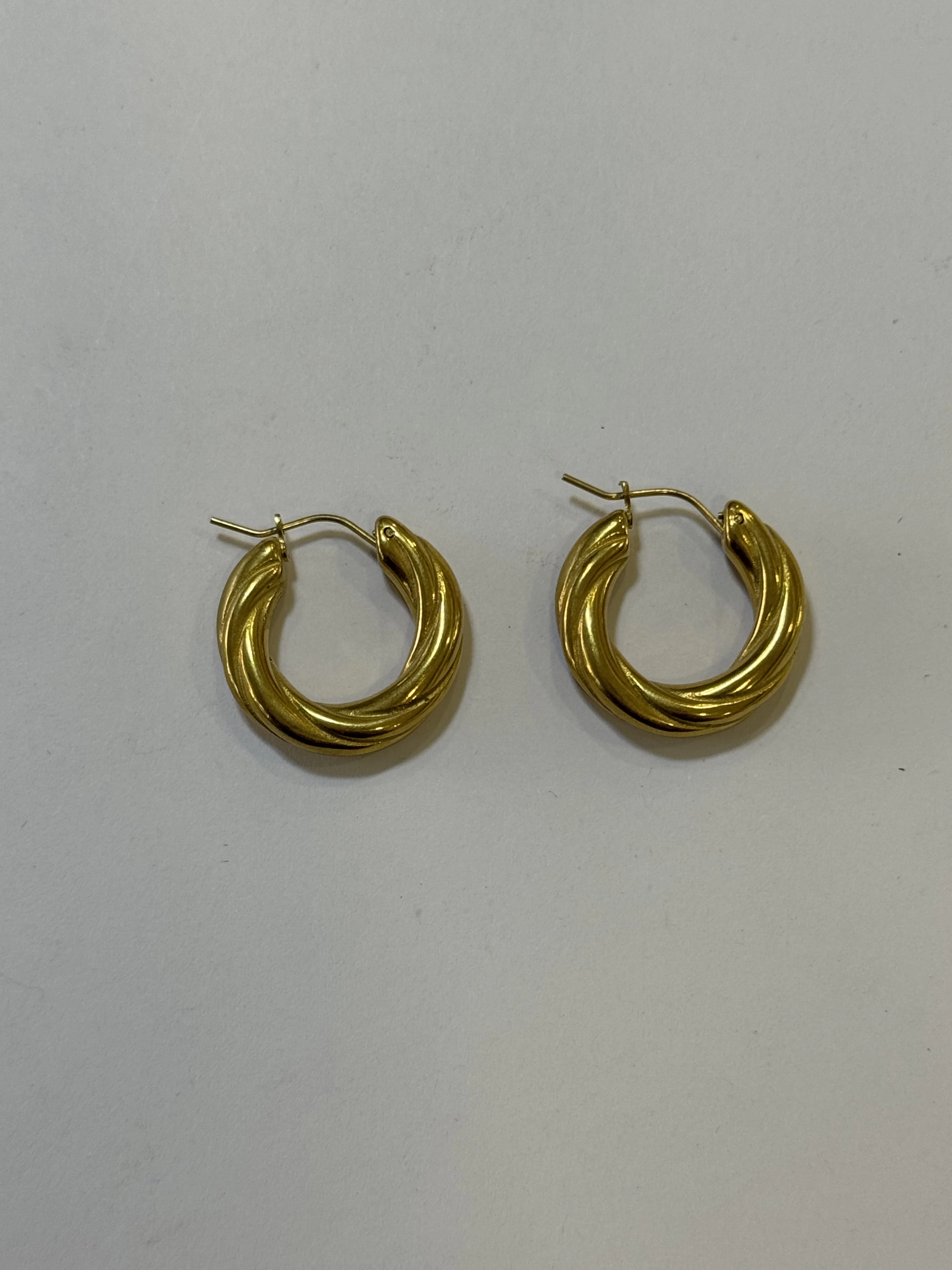 Aretes Acero Inoxidable 18k - 37