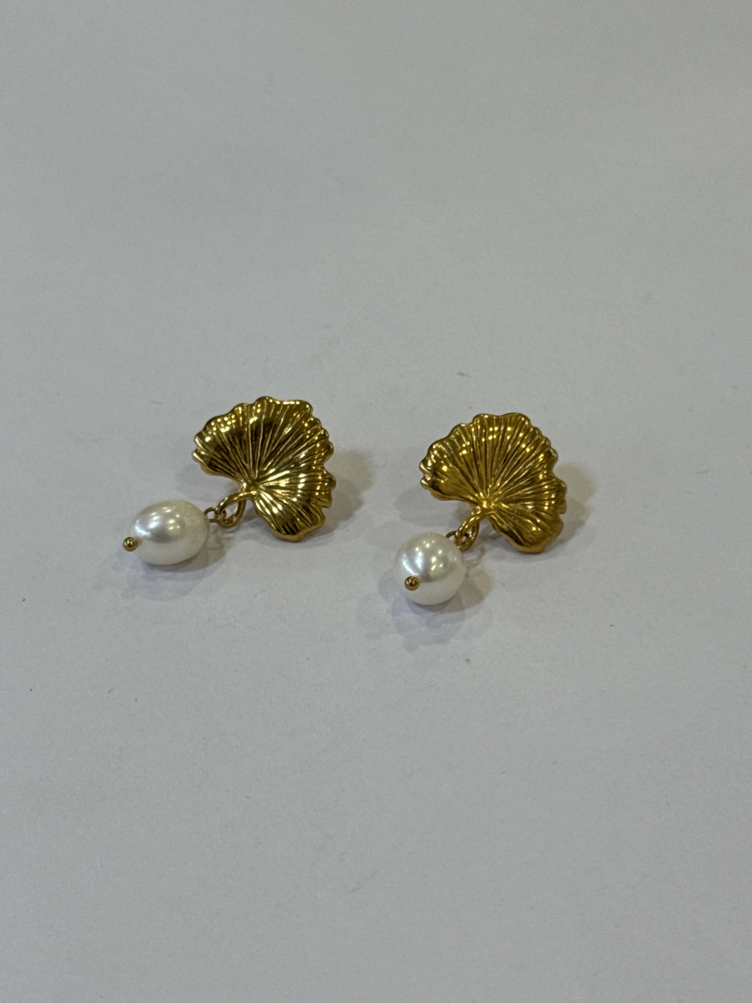 Aretes Acero Inoxidable 18k - 20