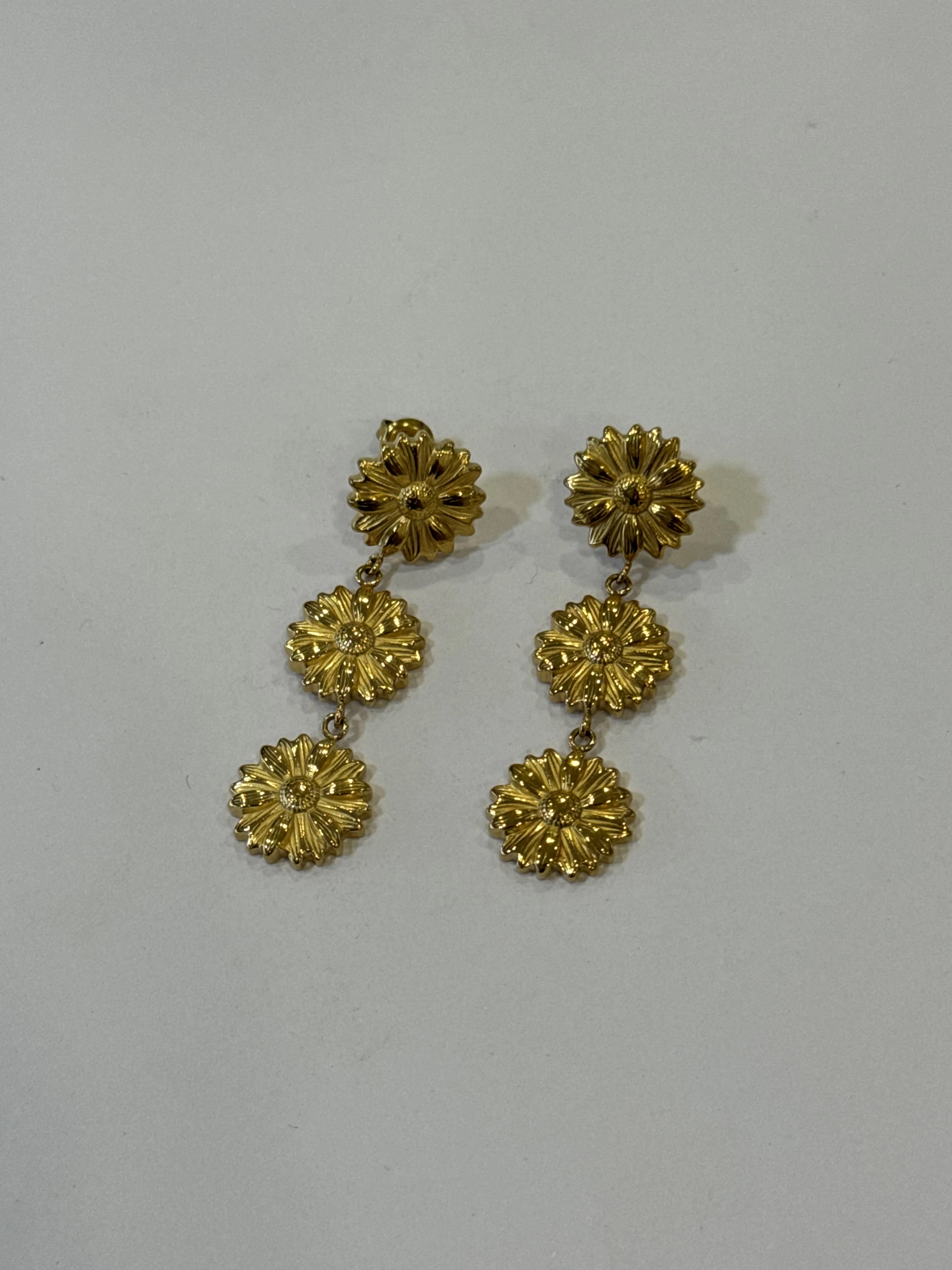 Aretes Acero Inoxidable 18k - 8