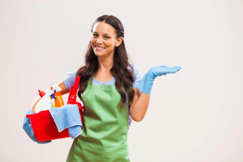 Cleaner Job