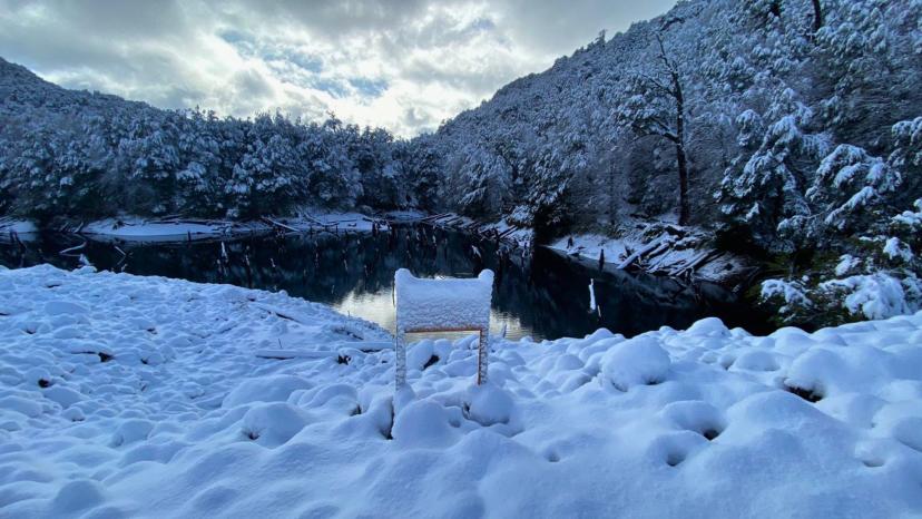 Parque Conguillío Invernal desde Santiago