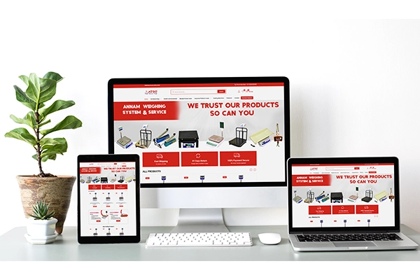 WordPress Portfolio 4