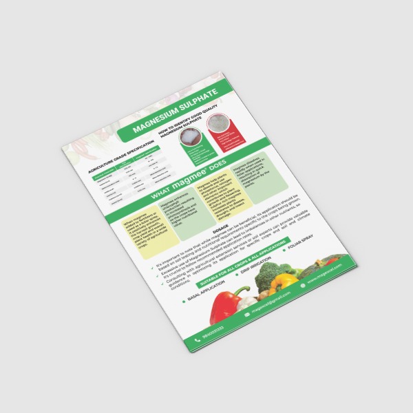 magmee flyer design