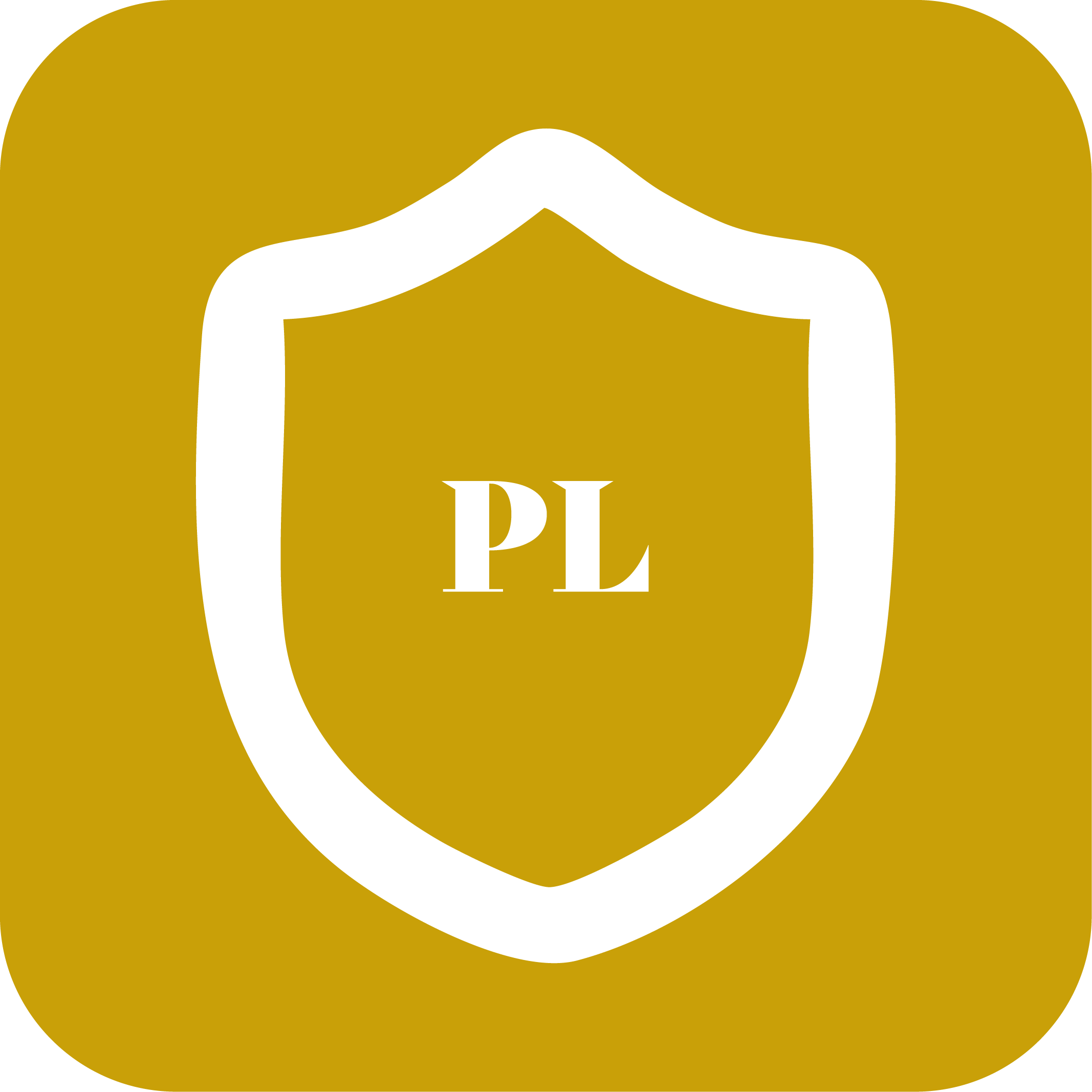 PrivacyAudit.uk