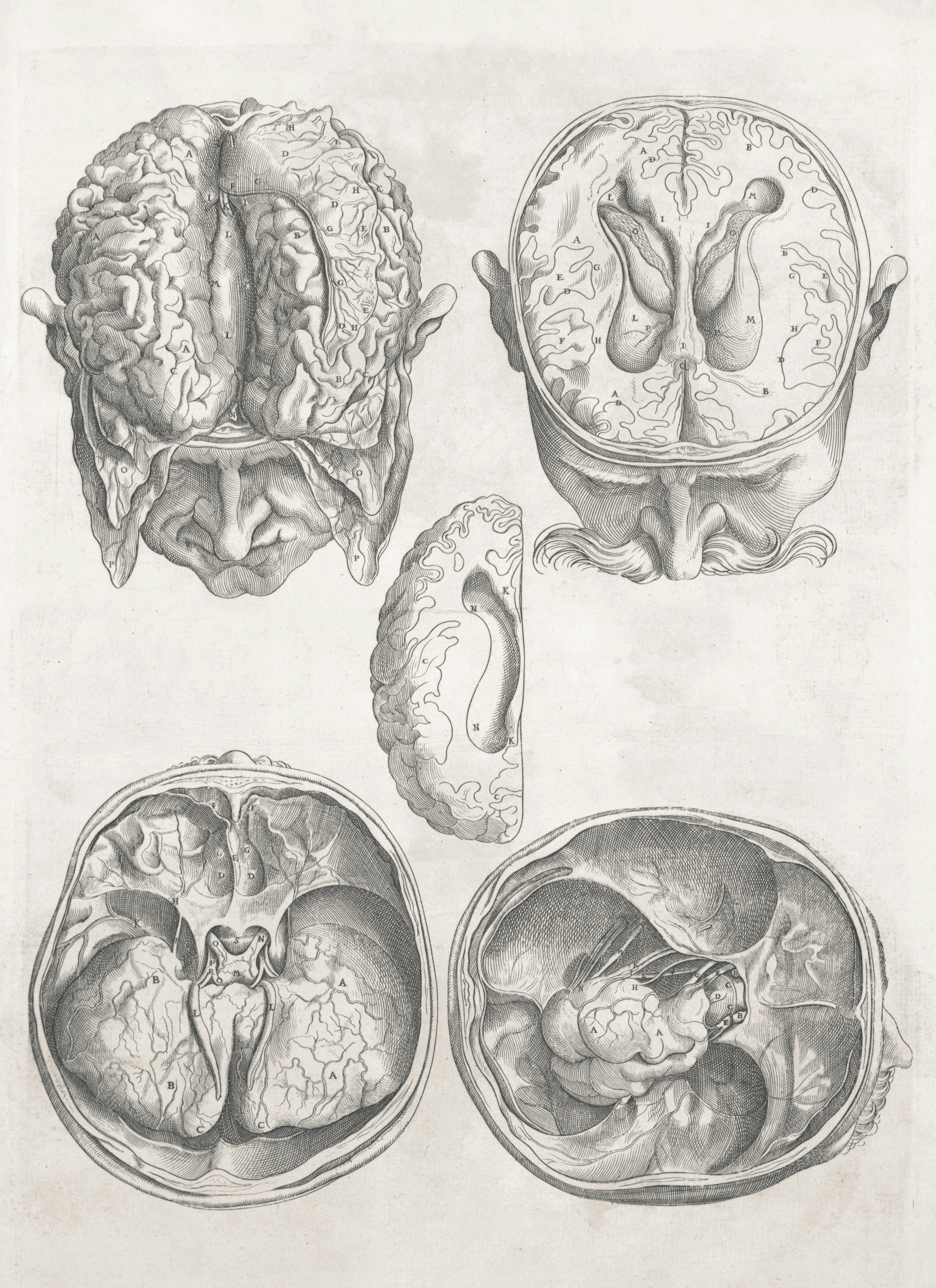 Medical library background