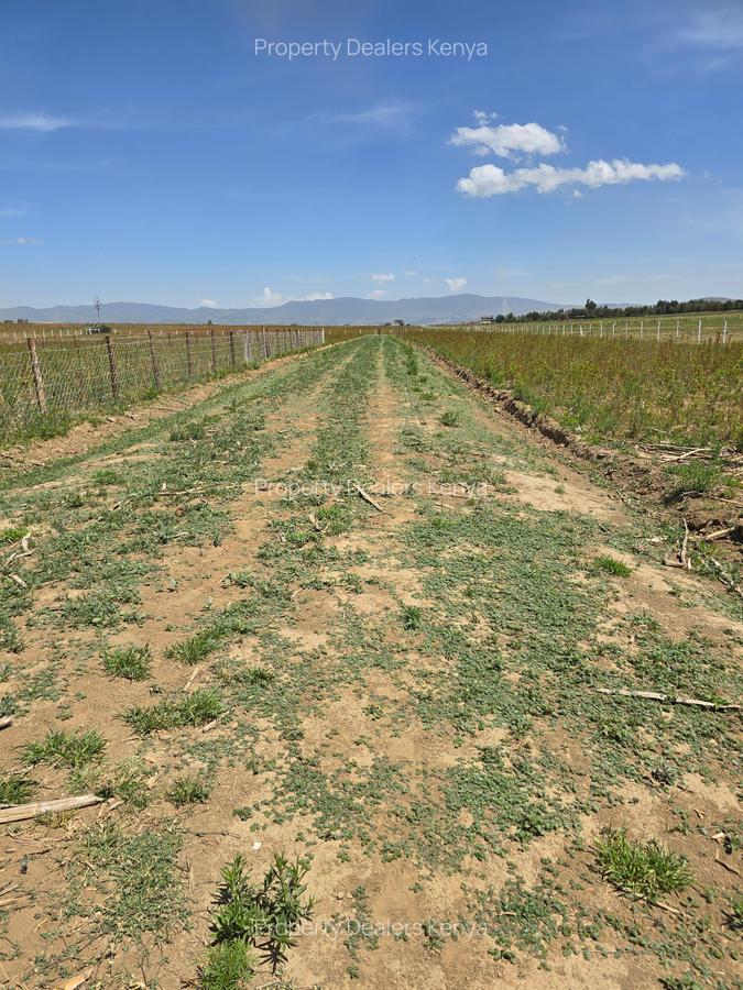Residential Land at Moi Ndabi