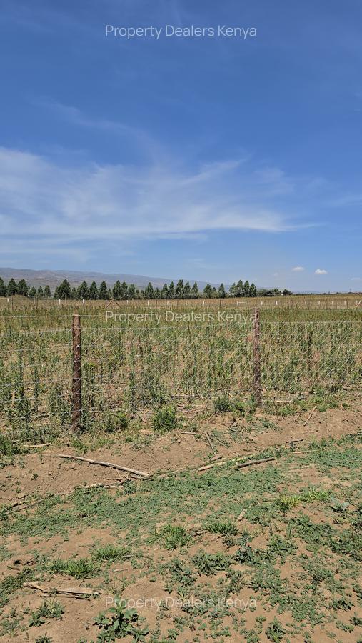 Residential Land at Moi Ndabi