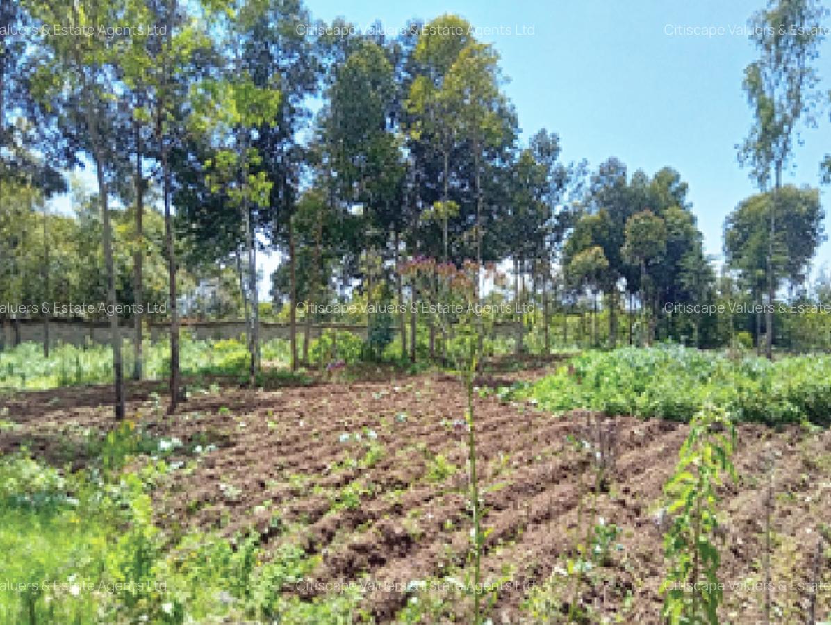 5 ac Land in Naivasha