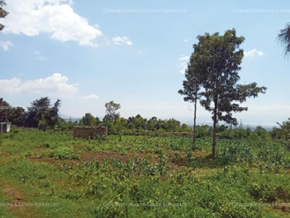 5 ac Land in Naivasha