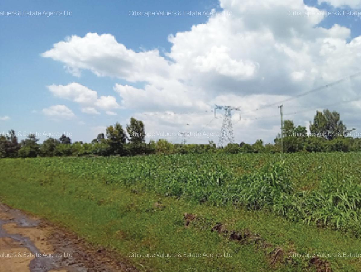 5 ac Land in Naivasha