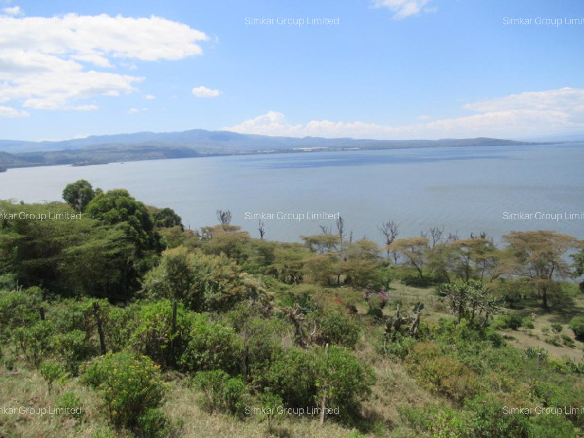 Land at Moi North Lake Rd
