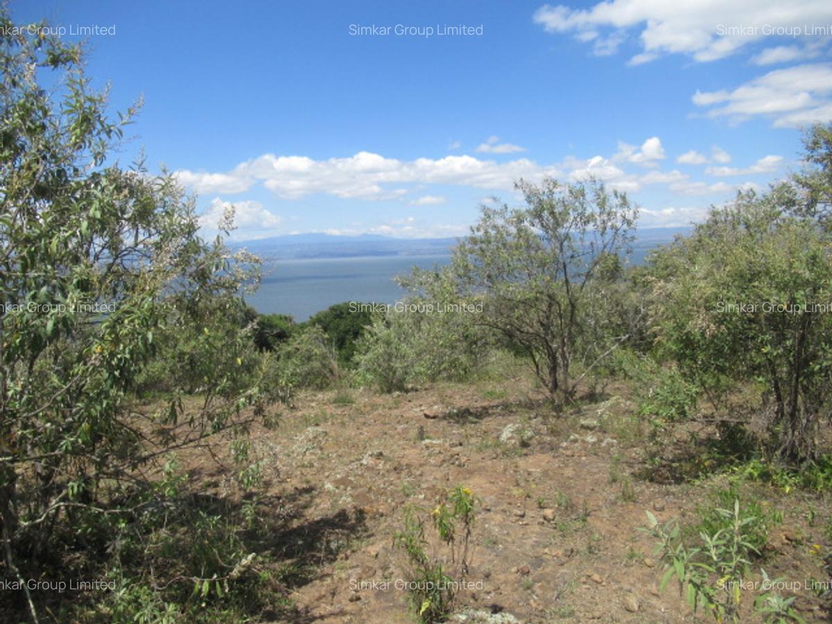 Land at Moi North Lake Rd