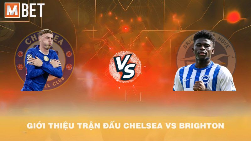 Giới thiệu trận đấu Chelsea vs Brighton 21h00 27/9/2025