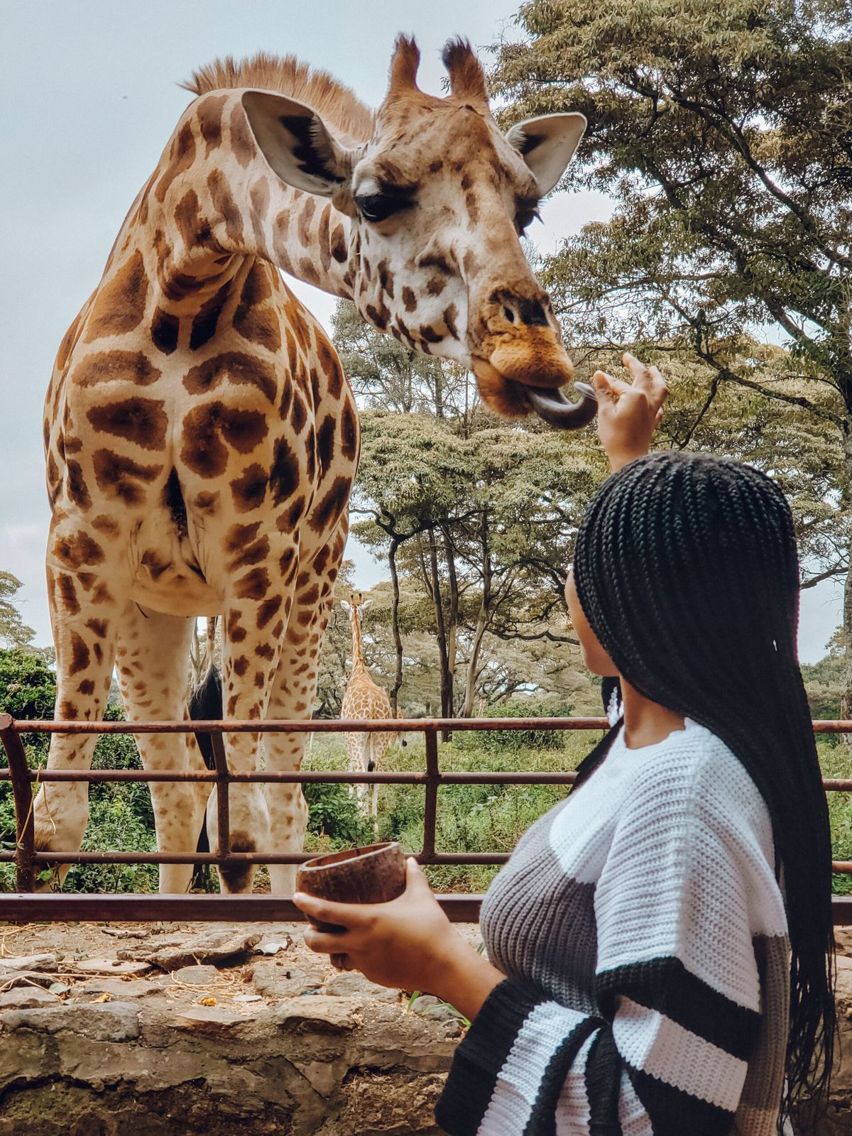 Ladies Safari & Coastal Escape
