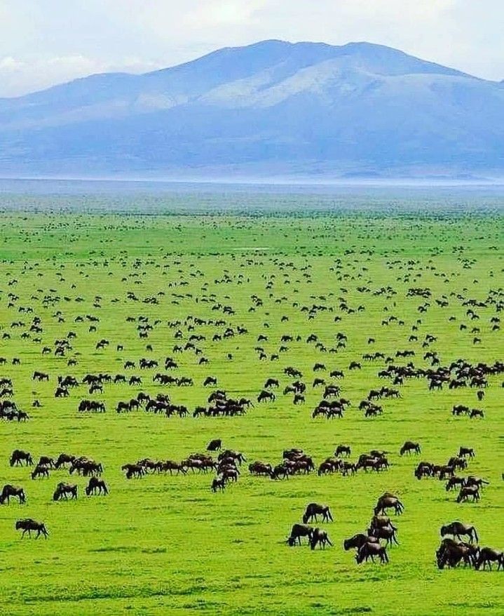 Destination Image