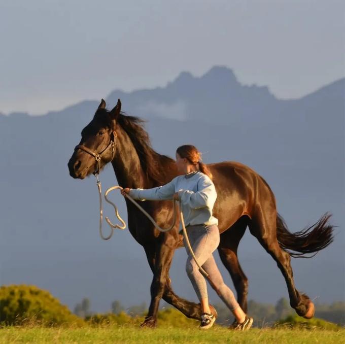 Horse Riding