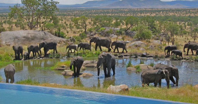 Four Seasons Safari Lodge