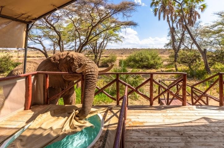 Elephant Bedroom Camp