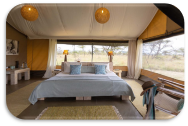 bush camp rooms