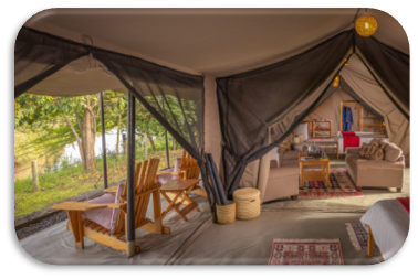 outdoor camp