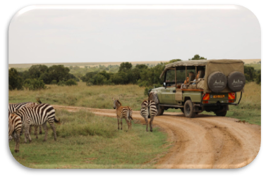 Game drive