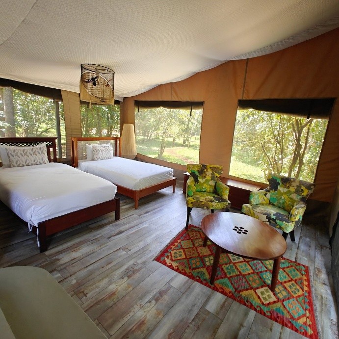 Accommodation 