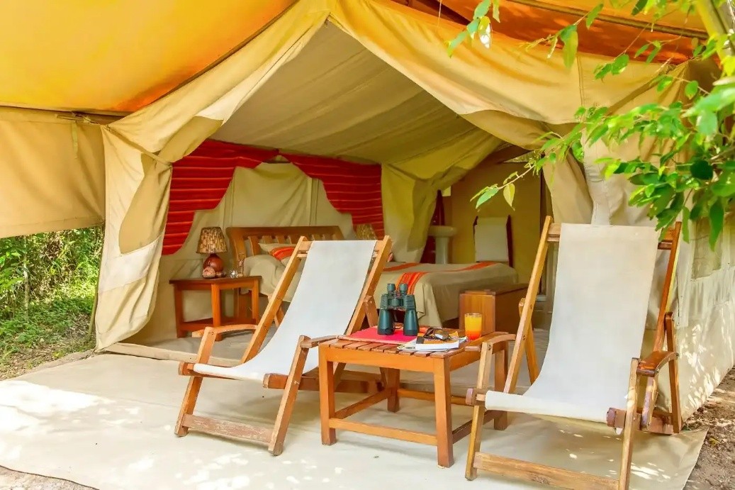camp tent