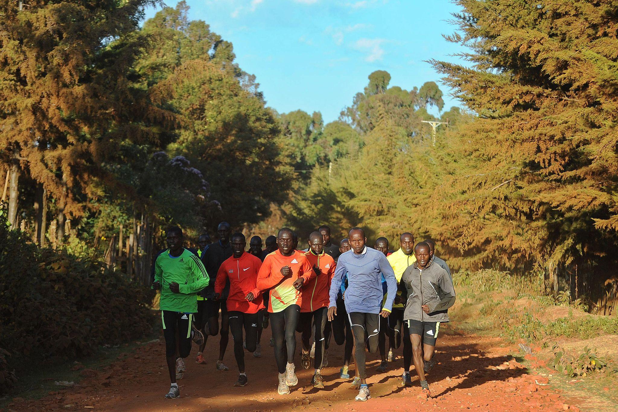 Altitude Training in Kenya: Where Adventure Meets Peak Performance