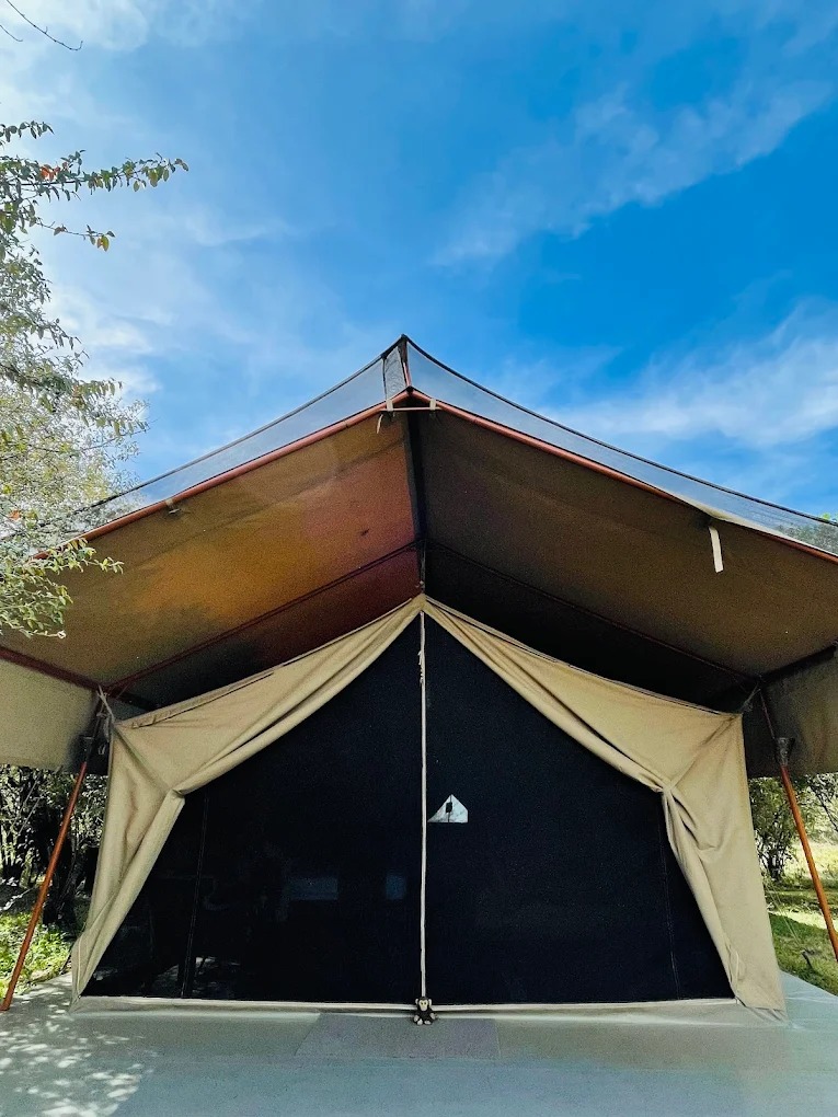 Olive Bush Camp