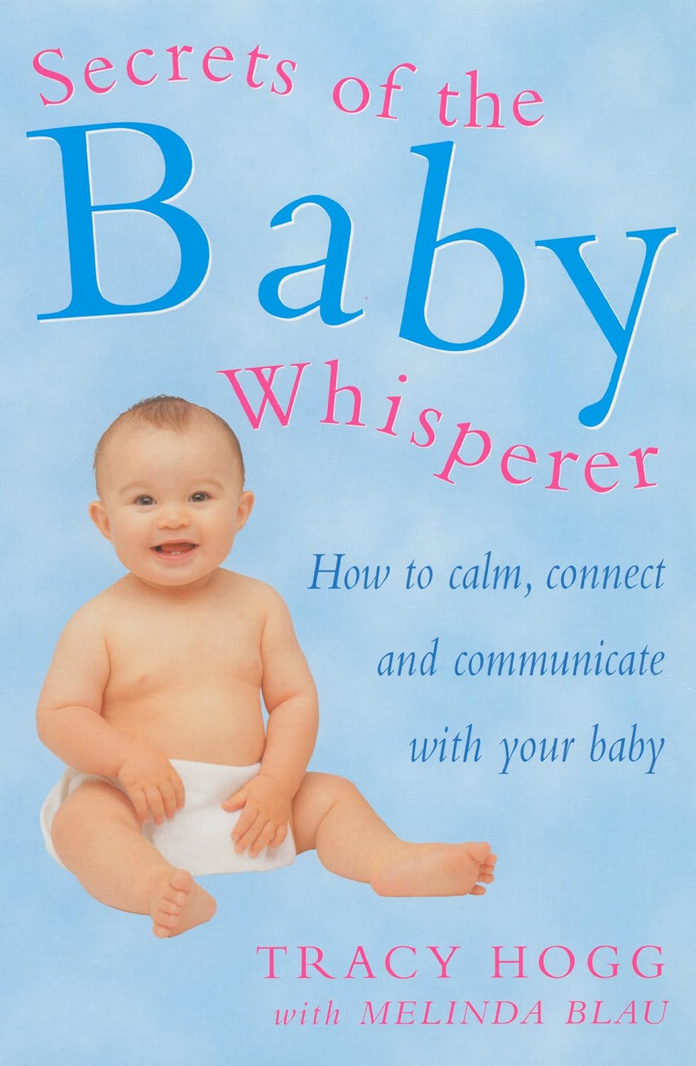 Your No Guilt Pregnancy Plan: A revolutionary guide to pregnancy, birth and the weeks that follow by Rebecca Schiller