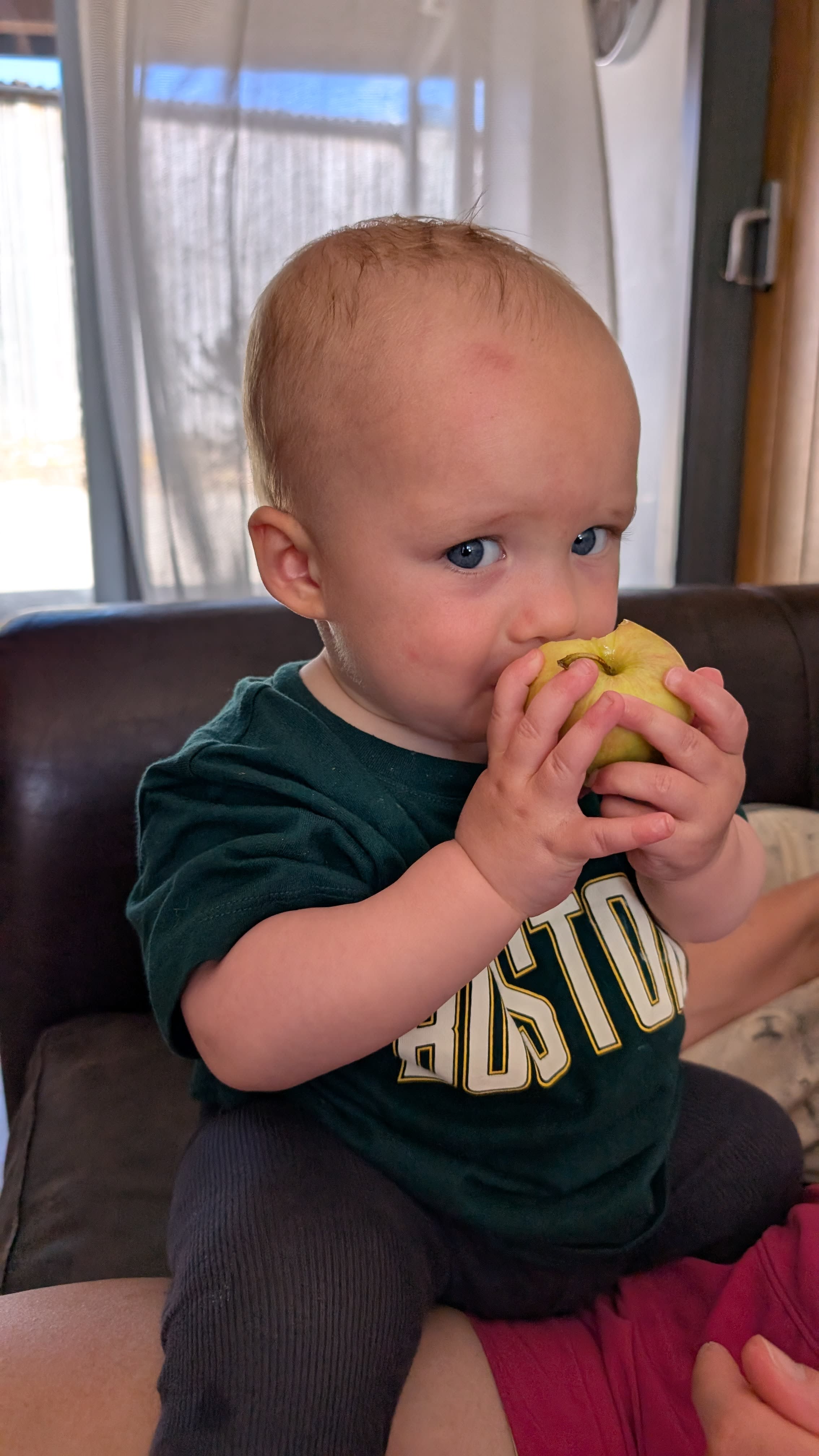 Eaten like an expert.