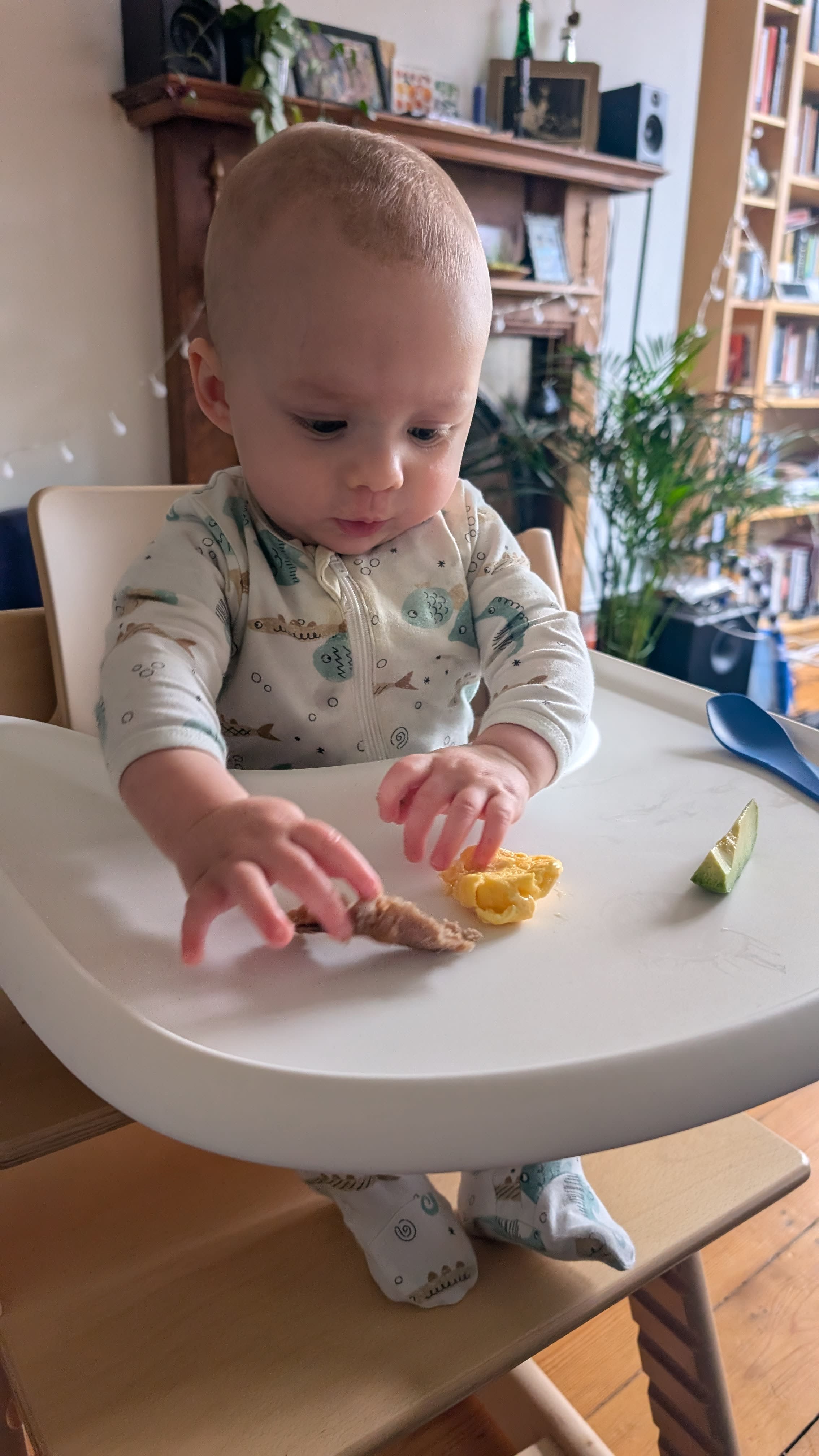 He likes avocado. A lot.