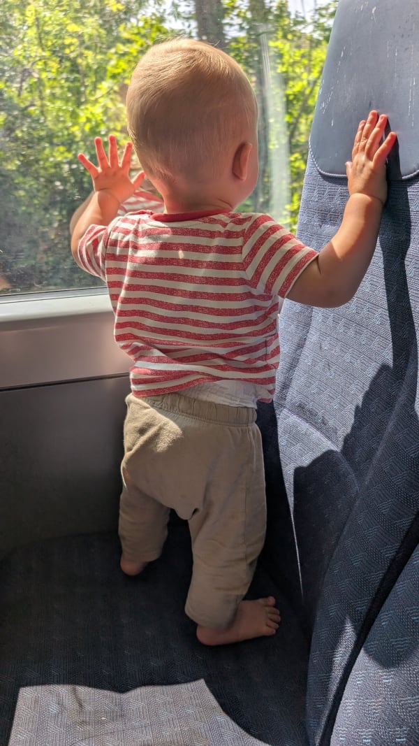 Looking out the window!
