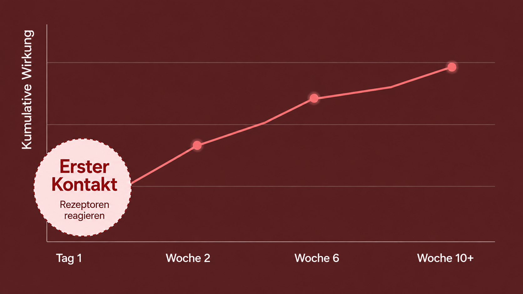 Woche 1
