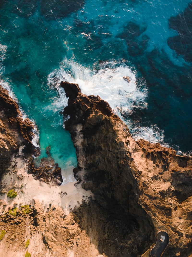 The Cove II