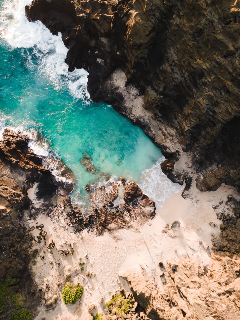 The Cove