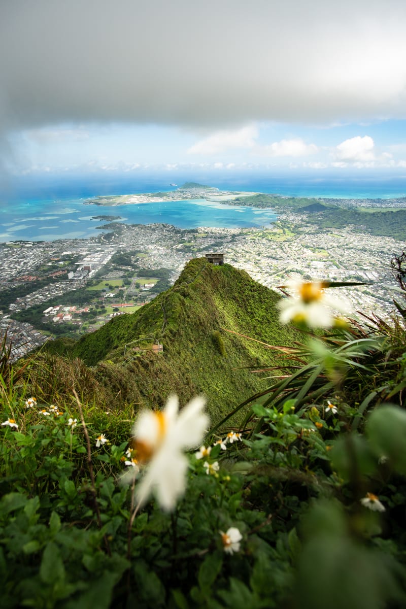 Heavenly Views