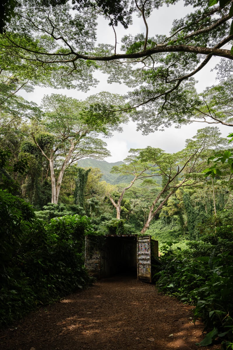 Jurassic Mānoa