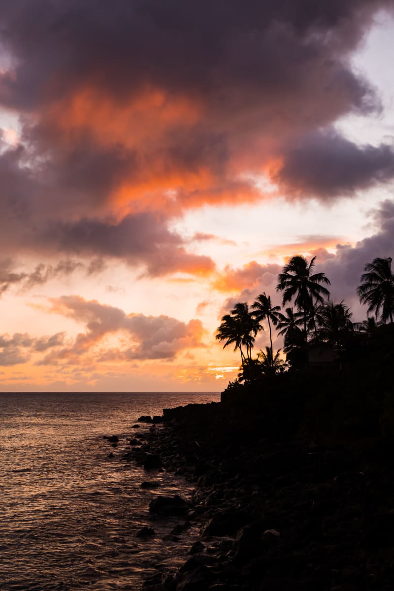 Waimea Palms Sunset