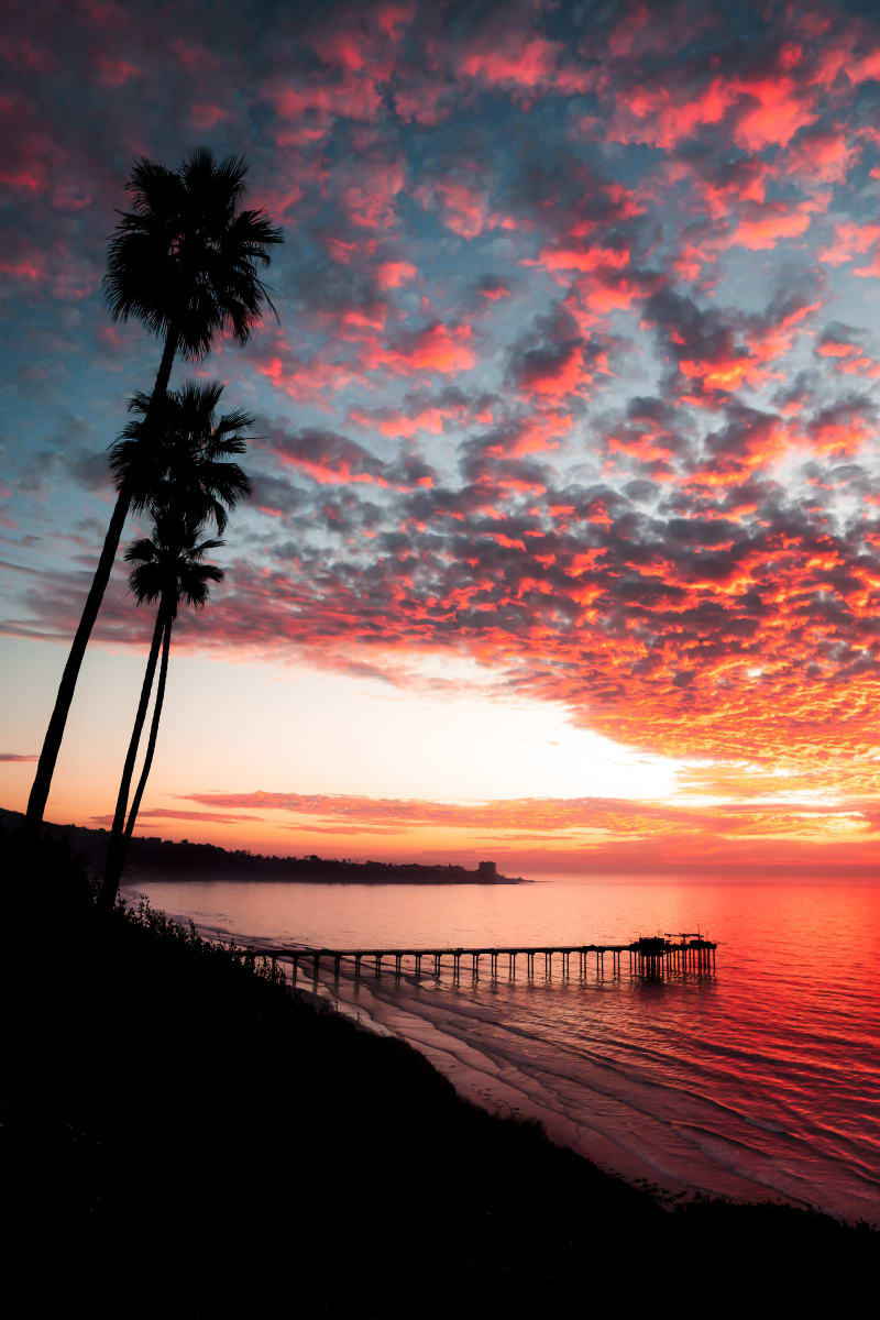 San Diego Sunset Dreams
