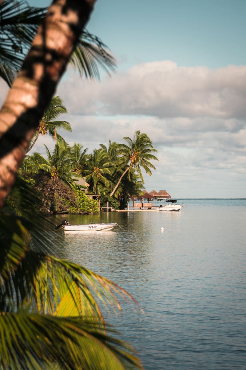 Palm Lagoon
